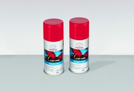 Touch up paint aerozol 1F8 Medium Silver Metallic